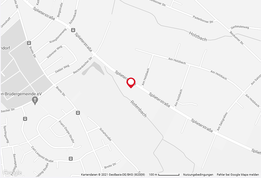 Google Maps Google Maps