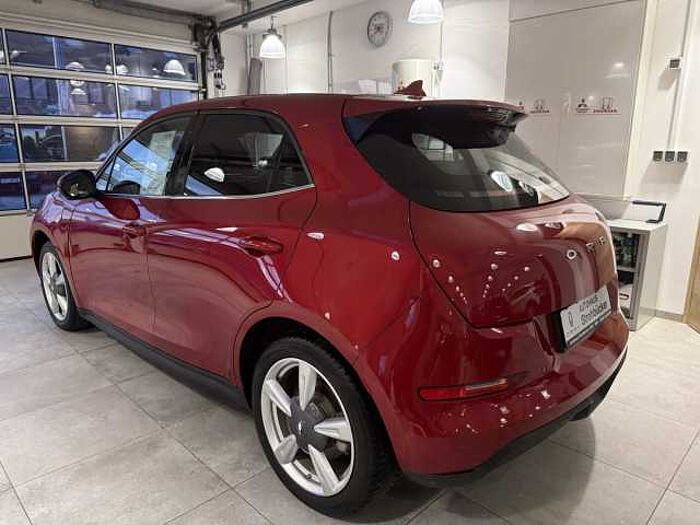 Great Wall Motor Ora 03 300 Pro mit WP *Allwetter*360 Grad*